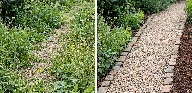 Avant après avec un désherbant puissant