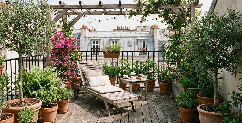 Idées d'aménagement pour un balcon avec des plantes