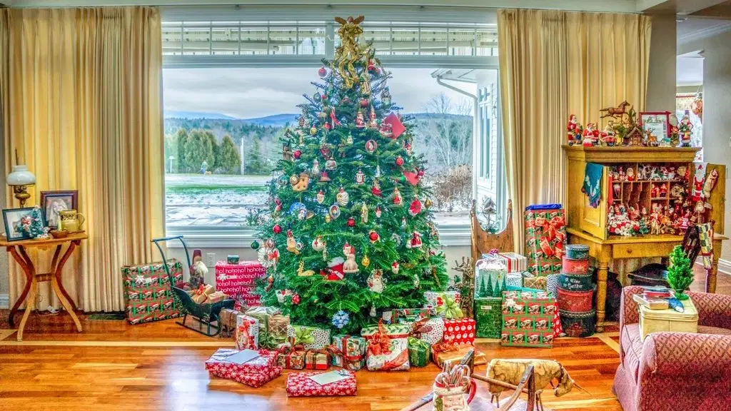 Salon avec un sapin naturel décoré